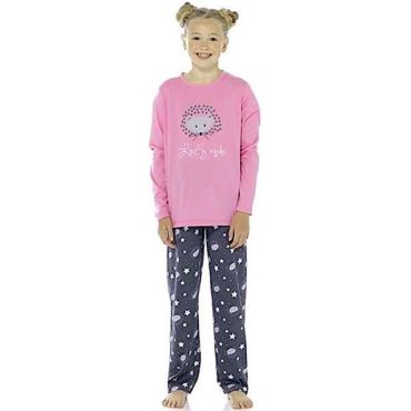 Girls Pink & Grey Hedgehog Print Long Sleeve Pyjamas
